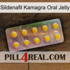 Sildenafil Kamagra Oral Jelly new11